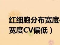 红细胞分布宽度cv偏低的意思（红细胞分布宽度CV偏低）