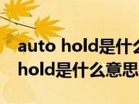 auto hold是什么意思汽车上的标识（auto hold是什么意思）