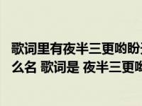 歌词里有夜半三更哟盼天明是什么DJ中文舞曲（这个歌叫什么名 歌词是 夜半三更哟 盼天明 寒冬腊月哟 盼春风 _）