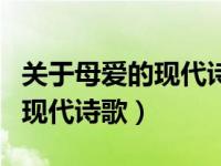 关于母爱的现代诗歌四年级下册（关于母爱的现代诗歌）