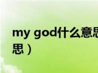 my god什么意思（in god we trust什么意思）