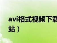 avi格式视频下载 下载（avi格式电影下载网站）