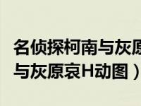 名侦探柯南与灰原哀有关的集数（名侦探柯南与灰原哀H动图）