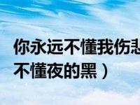 你永远不懂我伤悲（你永远不懂我伤悲像白天不懂夜的黑）