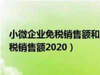 小微企业免税销售额和其他免税销售额的区别（小微企业免税销售额2020）