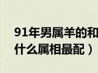 91年男属羊的和什么属相最配（男属羊的和什么属相最配）