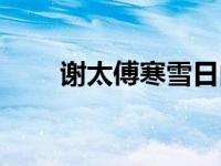 谢太傅寒雪日内集的意思（谢太傅）