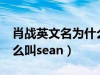 肖战英文名为什么要叫sean（sean肖战为什么叫sean）