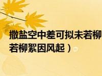 撒盐空中差可拟未若柳絮因风起的意思（撒盐空中差可拟未若柳絮因风起）