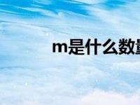 m是什么数量单位（r是什么数）