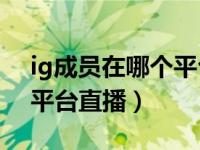 ig成员在哪个平台直播（IG队员目前在哪个平台直播）