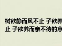 树欲静而风不止 子欲养而亲不待的意思（关于树欲静而风不止 子欲养而亲不待的意思的介绍）