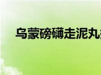 乌蒙磅礴走泥丸拼音（乌蒙磅礴走泥丸）