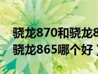 骁龙870和骁龙865哪个好一点（骁龙870和骁龙865哪个好）