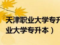 天津职业大学专升本可以考哪些学校（天津职业大学专升本）