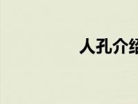 人孔介绍（人孔是什么）