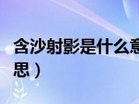 含沙射影是什么意思视频（含沙射影是什么意思）