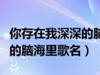 你存在我深深的脑海里说唱版（你存在我深深的脑海里歌名）