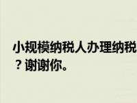 小规模纳税人办理纳税申报有哪些程序？零备案程序是什么？谢谢你。