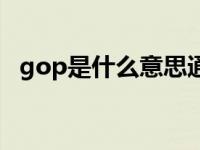 gop是什么意思通俗讲（gop是什么意思）