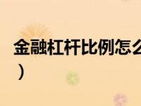 金融杠杆比例怎么计算（金融杠杆率计算公式）