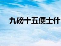 九磅十五便士什么寓意（九磅十五便士）