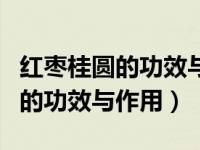 红枣桂圆的功效与作用及食用方法（红枣桂圆的功效与作用）