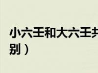 小六壬和大六壬共通吗（大六壬与小六壬的区别）