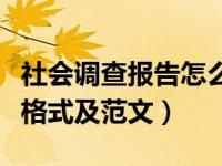 社会调查报告怎么写格式范文（社会调查报告格式及范文）