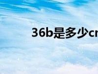 36b是多少cm（36b是多大图片）