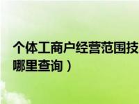 个体工商户经营范围技术咨询服务（个体工商户经营范围在哪里查询）