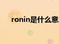 ronin是什么意思（ronin是什么意思）