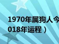 1970年属狗人今年运势（1970年属狗的人2018年运程）