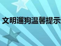 文明遛狗温馨提示通知（文明遛狗温馨提示）