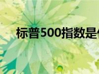 标普500指数是什么（标普是什么意思）