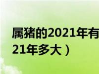 属猪的2021年有烂桃花运在哪月（属猪的2021年多大）