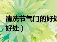 清洗节气门的好处和坏处（清洗节气门有什么好处）