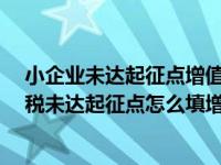 小企业未达起征点增值税申报表怎样填写?（小微企业增值税未达起征点怎么填增值税申报表）