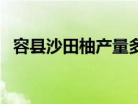 容县沙田柚产量多少吨（容县沙田柚产量）