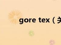 gore tex（关于gore tex的介绍）