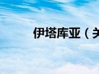 伊塔库亚（关于伊塔库亚的介绍）