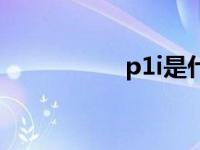 p1i是什么意思（p1i）