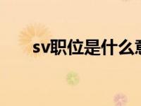 sv职位是什么意思（svp是什么职位）