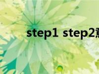 step1 step2意思（STEP1 是什么）