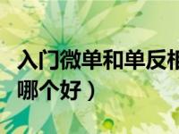 入门微单和单反相机哪个好（微单和单反相机哪个好）