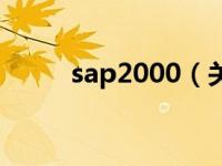 sap2000（关于sap2000的介绍）