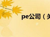 pe公司（关于pe公司的介绍）