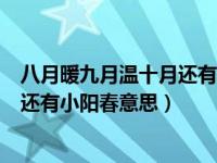 八月暖九月温十月还有小阳春意思简单（八月暖九月温十月还有小阳春意思）