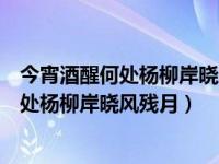 今宵酒醒何处杨柳岸晓风残月运用了什么修辞（今宵酒醒何处杨柳岸晓风残月）