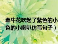 牵牛花吹起了紫色的小喇叭仿写拟人句子（牵牛花吹起了紫色的小喇叭仿写句子）